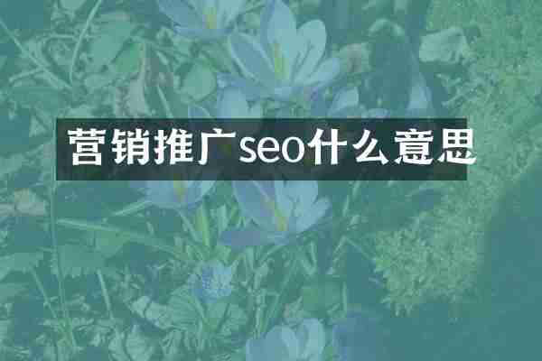 营销推广seo什么意思