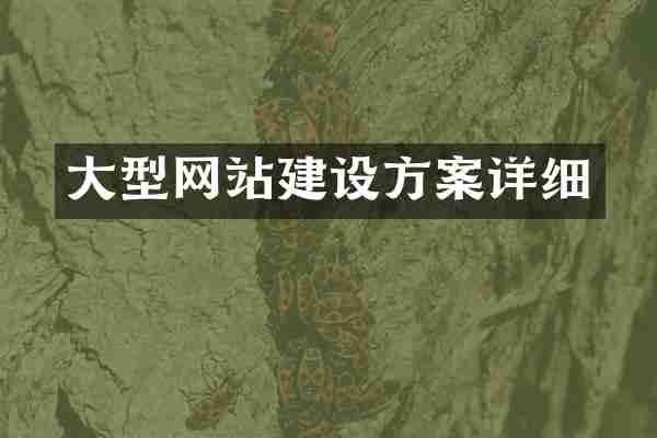 大型网站建设方案详细
