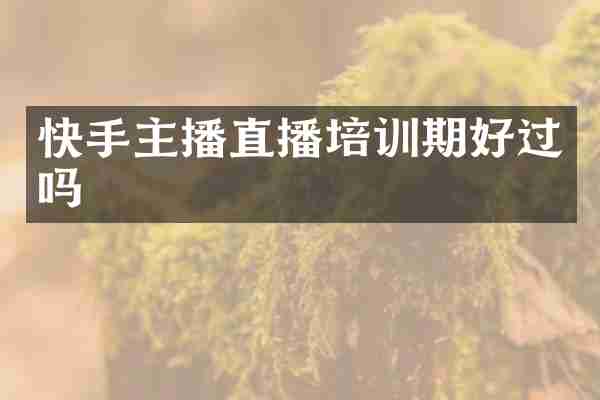 快手主播直播培训期好过吗