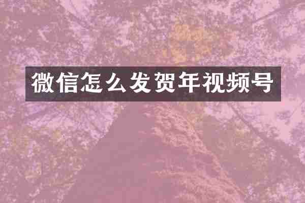 微信怎么发贺年视频号