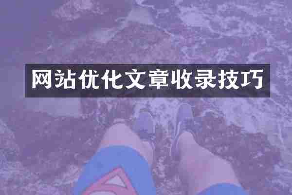 网站优化文章收录技巧