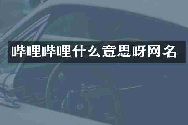 哔哩哔哩什么意思呀网名