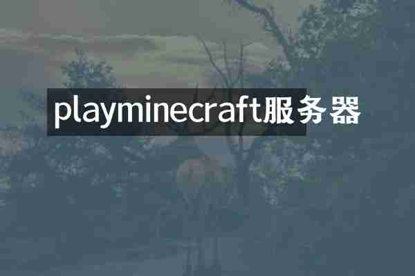 playminecraft服务器