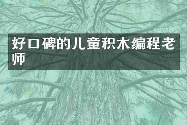 好口碑的儿童积木编程老师