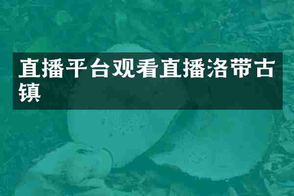 直播平台观看直播洛带古镇