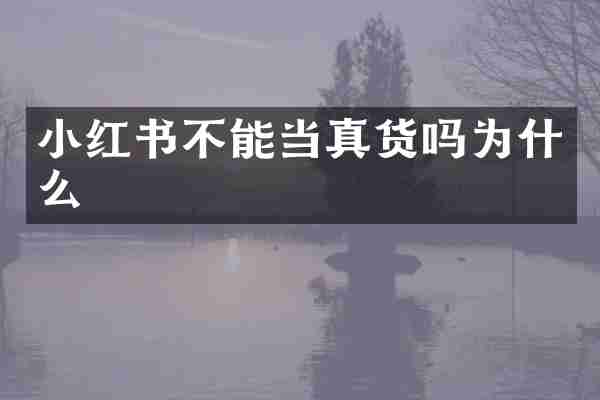 小红书不能当真货吗为什么