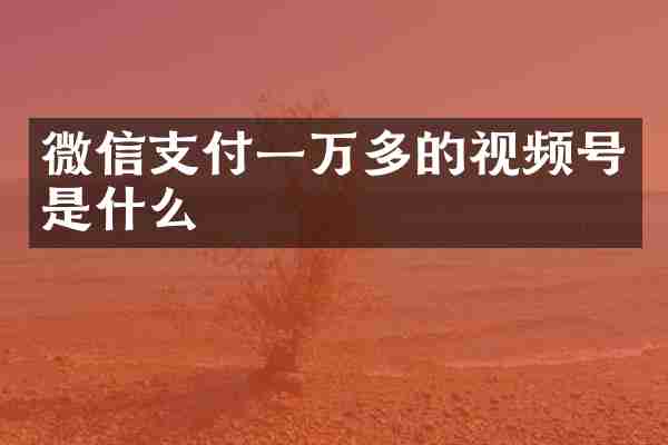 微信支付一万多的视频号是什么