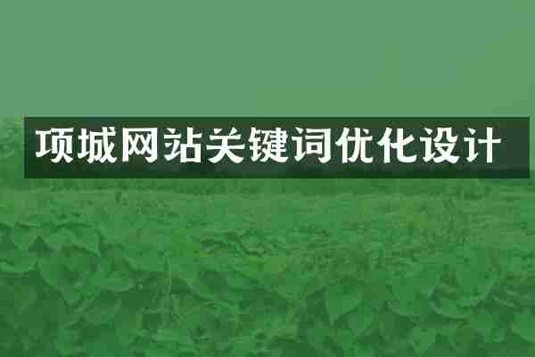 项城网站关键词优化设计