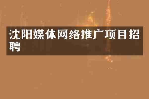 沈阳媒体网络推广项目招聘