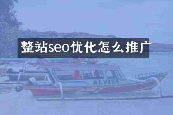 整站seo优化怎么推广