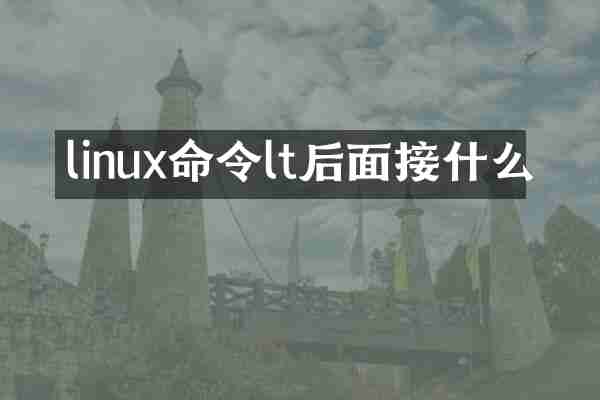 linux命令lt后面接什么