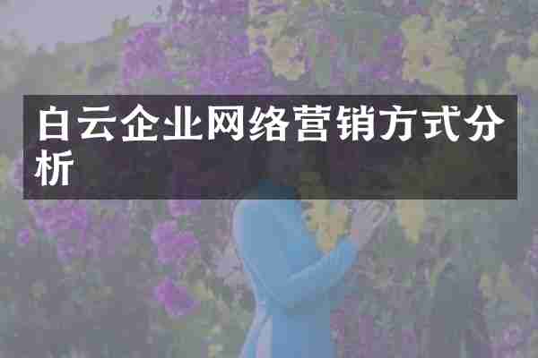 白云企业网络营销方式分析