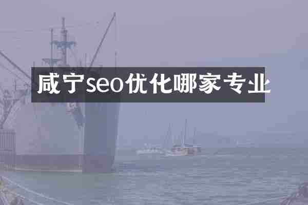 咸宁seo优化哪家专业