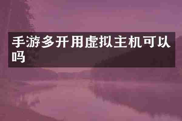 手游多开用虚拟主机可以吗