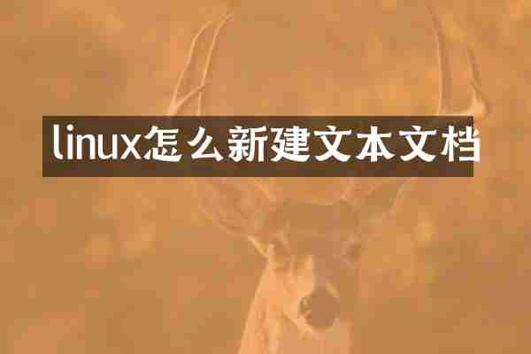 linux怎么新建文本文档