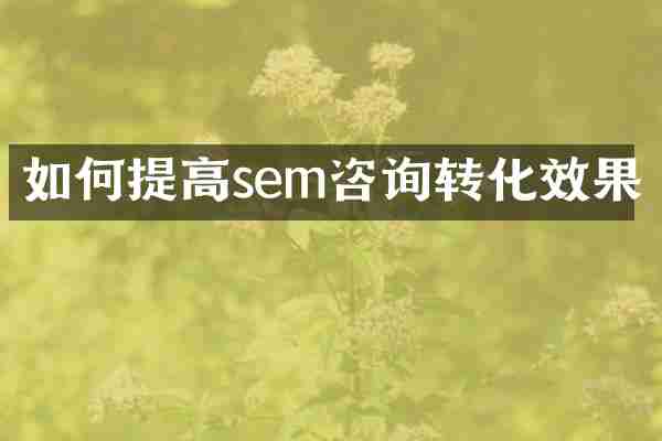 如何提高sem咨询转化效果