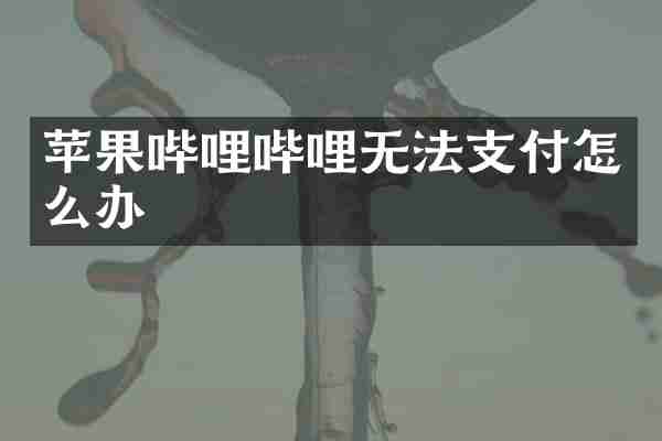 苹果哔哩哔哩无法支付怎么办