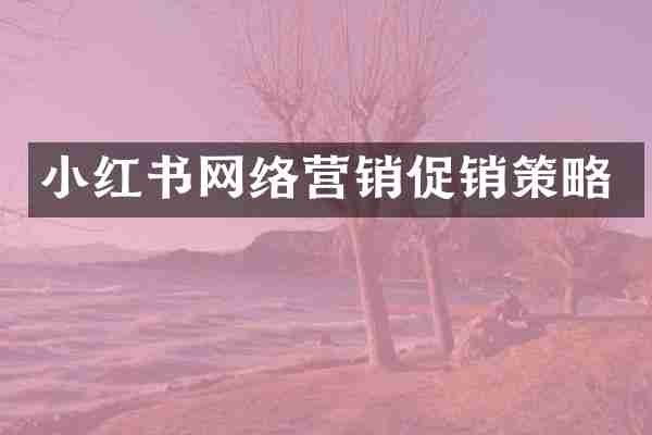小红书网络营销促销策略