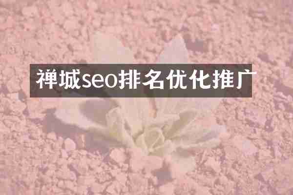 禅城seo排名优化推广