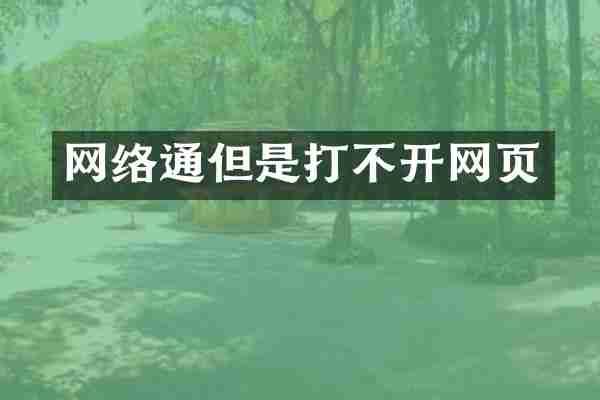 网络通但是打不开网页