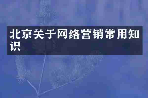 北京关于网络营销常用知识