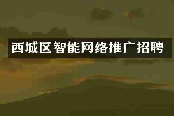 西城区智能网络推广招聘