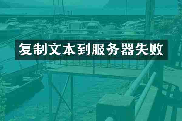 复制文本到服务器失败