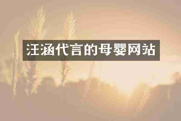 汪涵代言的母婴网站