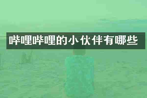 哔哩哔哩的小伙伴有哪些