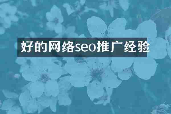 好的网络seo推广经验