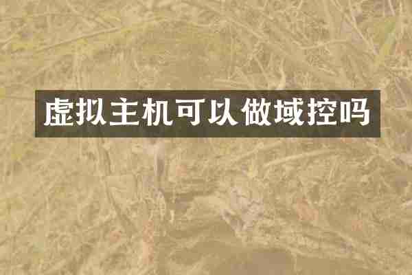 虚拟主机可以做域控吗