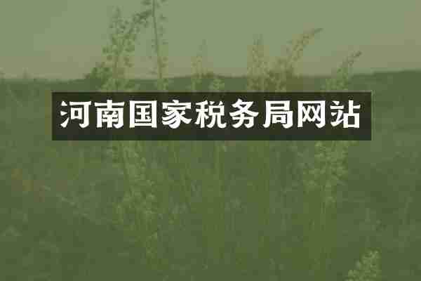 河南国家税务局网站