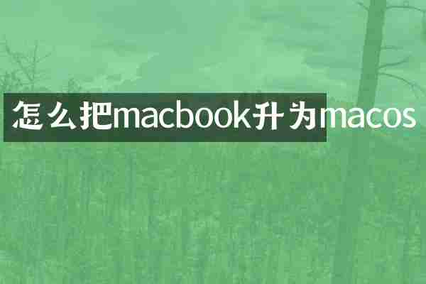 怎么把macbook升为macos