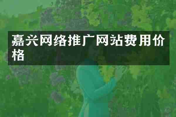 嘉兴网络推广网站费用价格