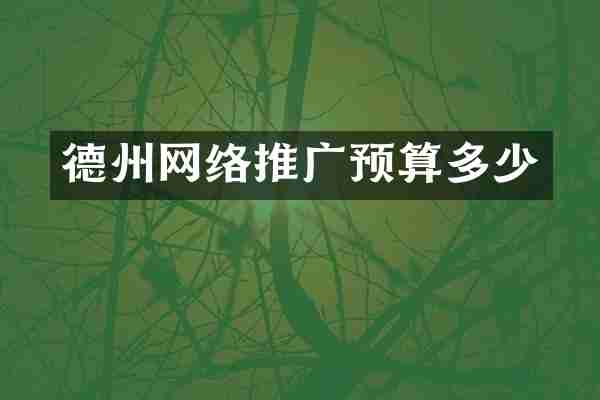 德州网络推广预算多少
