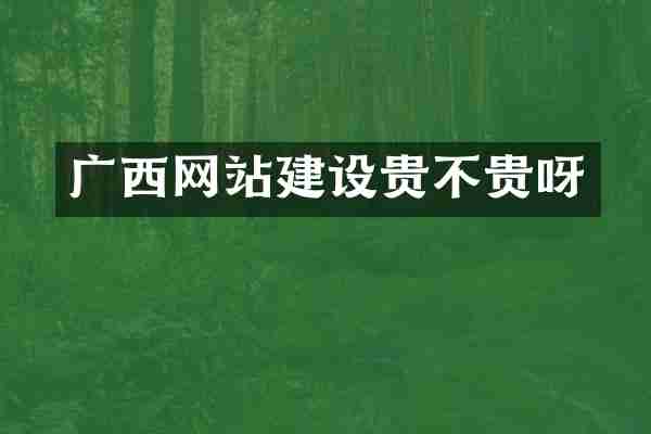 广西网站建设贵不贵呀