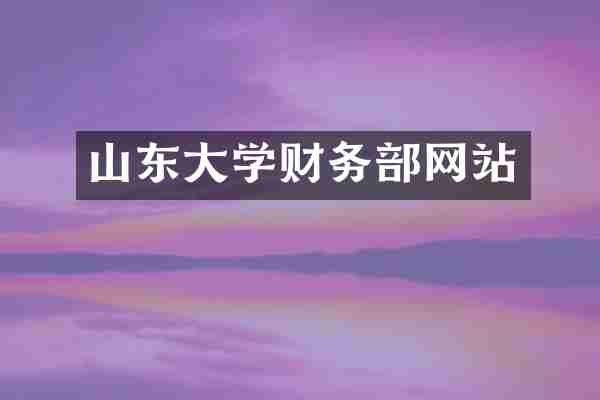 山东大学财务部网站
