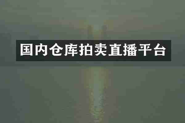 国内仓库拍卖直播平台