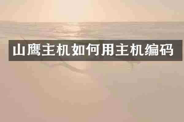 山鹰主机如何用主机编码