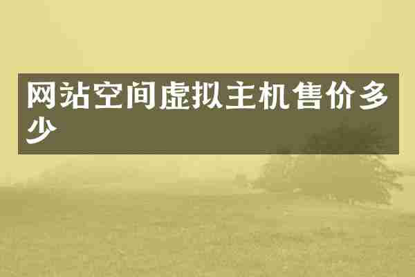 网站空间虚拟主机售价多少