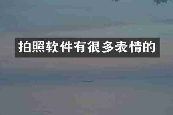 拍照软件有很多表情的