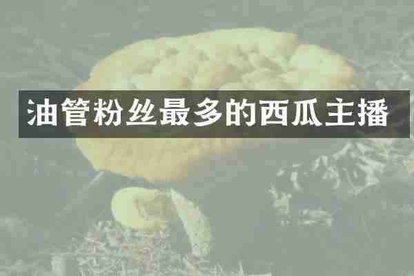 油管粉丝最多的西瓜主播