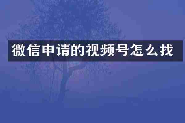 微信申请的视频号怎么找