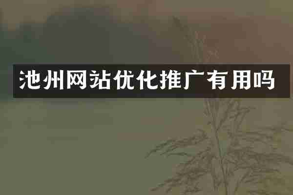 池州网站优化推广有用吗