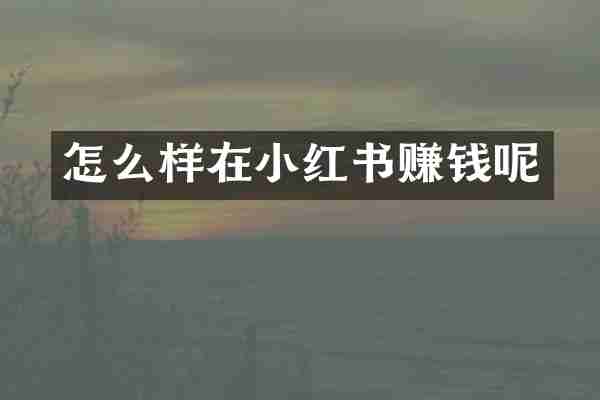 怎么样在小红书赚钱呢