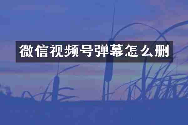 微信视频号弹幕怎么删