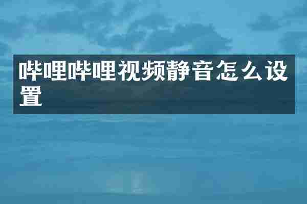 哔哩哔哩视频静音怎么设置
