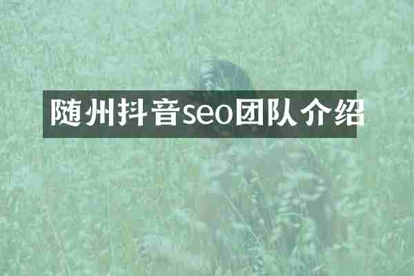 随州抖音seo团队介绍
