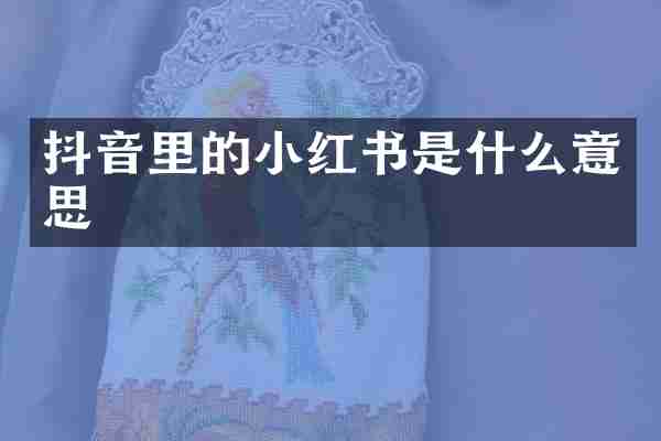 抖音里的小红书是什么意思