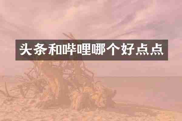 头条和哔哩哪个好点点